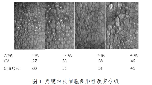 軟性接觸鏡臨床評(píng)價(jià)注冊(cè)審查指導(dǎo)原則（2023年第33號(hào)）(圖2)