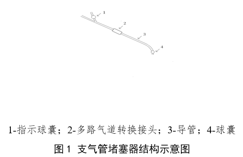 支氣管堵塞器注冊審查指導原則（2024年第19號）(圖1)