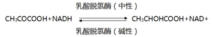 乳酸脫氫酶測定試劑盒注冊審查指導原則（2024年修訂版）（2024年第19號）(圖1)