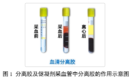 一次性使用真空采血管產(chǎn)品注冊審查指導原則（2024年修訂版）（2024年第21號）(圖4)