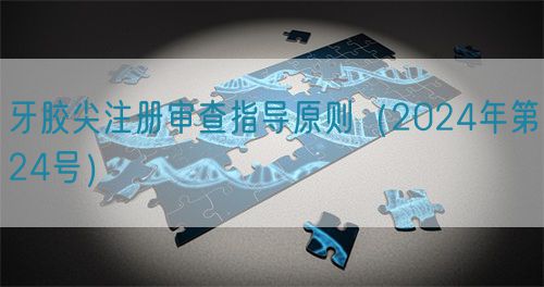 牙膠尖注冊(cè)審查指導(dǎo)原則（2024年第24號(hào)）(圖1)