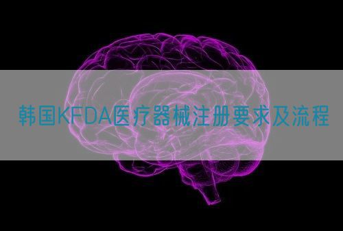 韓國KFDA醫(yī)療器械注冊要求及流程(圖1)