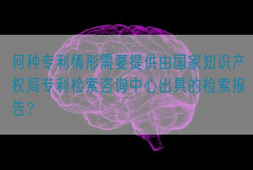 何種專利情形需要提供由國(guó)家知識(shí)產(chǎn)權(quán)局專利檢索咨詢中心出具的檢索報(bào)告？(圖1)