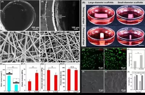 生物相容性是什么？如何準(zhǔn)備生物相容性檢測的樣品？(圖2)