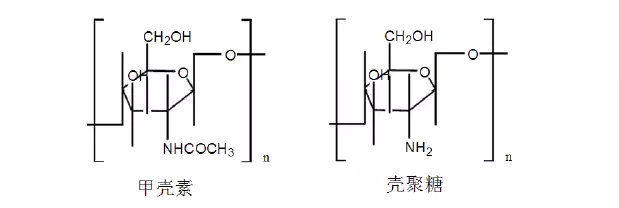 可吸收高分子材料介紹及其在植入醫療器械中的應用(圖2)