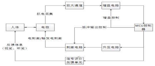 肌電生物反饋治療儀注冊技術審查指導原則（2019年第79號）(圖3)