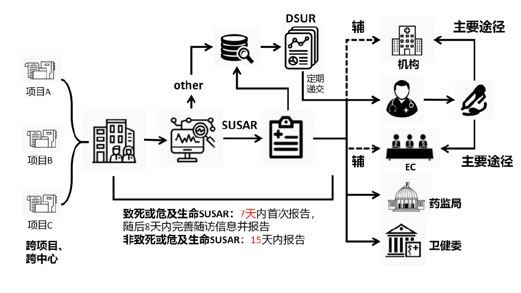 臨床試驗(yàn)安全性事件如何上報(bào)？臨床試驗(yàn)不良事件上報(bào)流程圖(圖3)