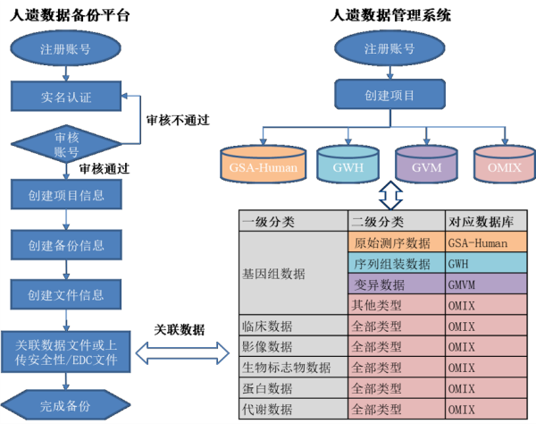 遺傳辦備份備案申報流程和熱點(diǎn)問題解答(圖2)